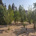 Satılır Torpaq, Novxanı, Abşeron rayonu 7