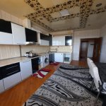 Satılır 2 otaqlı Yeni Tikili, Neftçilər metrosu, Nizami rayonu 10