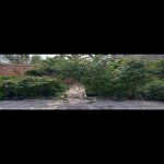 Продажа 4 комнатная Дома/Виллы, м. Короглу метро, пос. Савалан, Сабунчу район 7