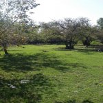 Продажа Участок Гябяля 8