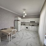 Satılır 5 otaqlı Həyət evi/villa, Əhmədli metrosu, Köhnə Günəşli qəs., Xətai rayonu 5