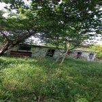 Satılır 4 otaqlı Bağ evi Mingəçevir 6