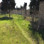 Satılır Torpaq, Bilgəh qəs., Sabunçu rayonu 2