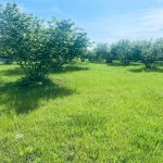 Satılır Torpaq Qəbələ 8