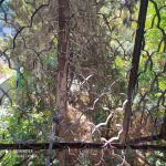 Kirayə (aylıq) 3 otaqlı Köhnə Tikili, Nəriman Nərimanov metrosu, Nərimanov rayonu 1