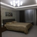 Kirayə (aylıq) 2 otaqlı Yeni Tikili, 28 May metrosu, Qış parkı, Nəsimi rayonu 12