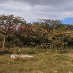 Satılır 2 otaqlı Həyət evi/villa Bərdə 1