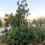 Satılır 6 otaqlı Bağ evi, Şüvəlan, Xəzər rayonu 19