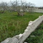 Satılır Torpaq, Ramana qəs., Sabunçu rayonu 3