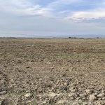 Satılır Torpaq, Türkan, Xəzər rayonu 4