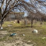 Продажа 11 комнат Дача, Горадиль, Абшерон район 8