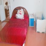 Kirayə (aylıq) 2 otaqlı Həyət evi/villa, Gənclik metrosu, Nərimanov rayonu 1