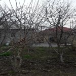 Satılır 2 otaqlı Həyət evi/villa, Binə qəs., Xəzər rayonu 6