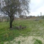 Satılır 5 otaqlı Bağ evi, Saray, Abşeron rayonu 11