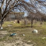 Satılır 11 otaqlı Bağ evi, Goradil, Abşeron rayonu 8