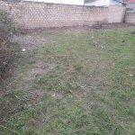 Satılır Torpaq Qusar 5