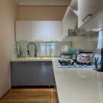 Kirayə (aylıq) 3 otaqlı Yeni Tikili, Azadlıq metrosu, Nərimanov rayonu 5