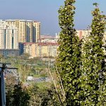 Kirayə (aylıq) 2 otaqlı Köhnə Tikili, Elmlər akademiyası metrosu, Yasamal rayonu 14