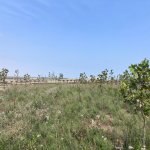 Satılır Torpaq, Məhəmmədli, Abşeron rayonu 6