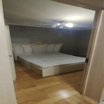 Kirayə (aylıq) 3 otaqlı Həyət evi/villa, Azadlıq metrosu, Binəqədi qəs., Binəqədi rayonu 15