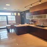 Kirayə (aylıq) 4 otaqlı Yeni Tikili, Nizami metrosu, Park Zorge, Nəsimi rayonu 23
