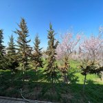 Satılır 4 otaqlı Bağ evi Şabran 14