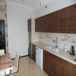 Kirayə (aylıq) 4 otaqlı Yeni Tikili, 28 May metrosu, Nəsimi rayonu 17