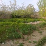 Продажа 4 комнатная Дома/Виллы, м. Короглу метро, пос. Маштага, Сабунчу район 4