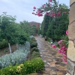 Kirayə (aylıq) 5 otaqlı Bağ evi, Mərdəkan, Xəzər rayonu 4