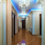 Kirayə (aylıq) 5 otaqlı Yeni Tikili, Gənclik metrosu, Nərimanov rayonu 7