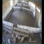 Продажа Объект, Зиря, Академия Авиации, Хязяр район 2