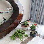 Kirayə (aylıq) 4 otaqlı Həyət evi/villa, Mərdəkan, Xəzər rayonu 5