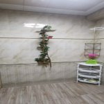 Kirayə (aylıq) 2 otaqlı Yeni Tikili Sumqayıt 14