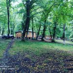 Kirayə (günlük) 5 otaqlı Bağ evi Quba 7