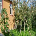 Kirayə (günlük) 3 otaqlı Həyət evi/villa İsmayıllı 2