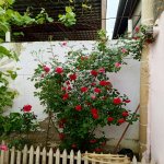 Satılır 4 otaqlı Həyət evi/villa, Hövsan qəs., Suraxanı rayonu 19