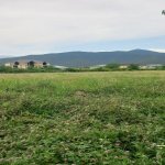 Satılır Torpaq Zaqatala 2