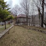 Kirayə (günlük) 4 otaqlı Bağ evi Qəbələ 22