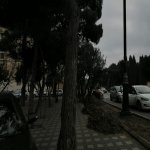 Kirayə (aylıq) 3 otaqlı Köhnə Tikili, Elmlər akademiyası metrosu, Yasamal rayonu 13