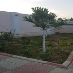 Kirayə (aylıq) 4 otaqlı Bağ evi, Goradil, Abşeron rayonu 23