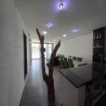 Kirayə (günlük) 3 otaqlı Həyət evi/villa, Buzovna, Xəzər rayonu 4