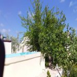 Kirayə (aylıq) 4 otaqlı Bağ evi, Şüvəlan, Xəzər rayonu 25