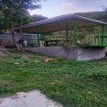 Kirayə (günlük) 4 otaqlı Həyət evi/villa İsmayıllı 4