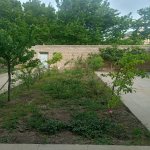Kirayə (aylıq) 11 otaqlı Həyət evi/villa, Həzi Aslanov metrosu, Xətai rayonu 3