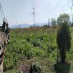 Продажа Участок Хачмаз 39