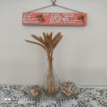 Kirayə (günlük) 3 otaqlı Həyət evi/villa Qusar 10