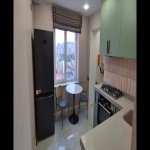 Kirayə (aylıq) 3 otaqlı Yeni Tikili, Gənclik metrosu, Nərimanov rayonu 8