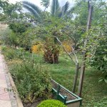 Satılır 6 otaqlı Həyət evi/villa, Novxanı, Abşeron rayonu 14