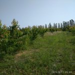 Satılır Torpaq Xaçmaz 2