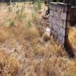 Satılır Torpaq, Mərdəkan, Xəzər rayonu 18